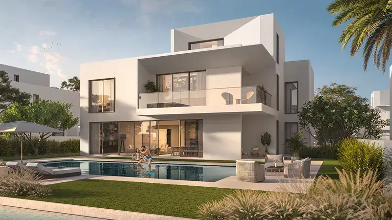 Palmiera 3