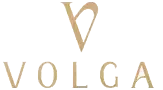 Volga Tower