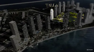 Talea foto 10