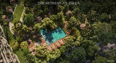 Talea foto 7