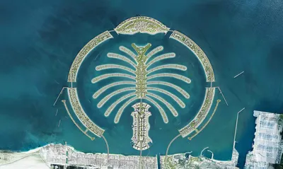 Palm Central foto 10